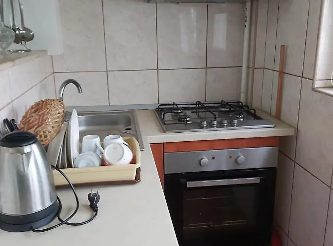 Avrig-ferdinand Apartmán *